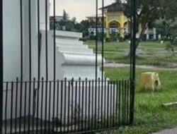 Pagar Besi Istana Maimun Medan Raib Misterius, Dicuri?