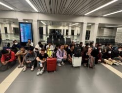 Pulang dari Jeratan Scam Kamboja, 36 WNI Tiba di Tanah Air