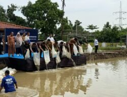 Gebyar Ketahanan Pangan Lapas Karawang, Panen Raya Jadi Sorotan