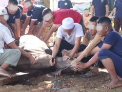 4 Sapi dan 26 Kambing Disembelih, Lapas Serang Berkurban Bersama Warga Binaan