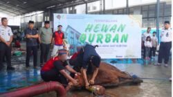 Semarak Idul Adha, Rutan Depok Sembelih 16 Hewan Kurban