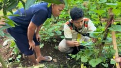 Lapas Serang Pamer Hasil Panen Blewah dan Semangka Berkualitas