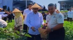 Menteri Agus Panen Terong Bersama Warga Binaan Lapas Warungkiara