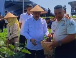 Menteri Agus Panen Terong Bersama Warga Binaan Lapas Warungkiara