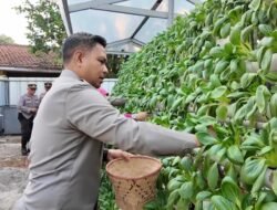 Pakcoy dan Lele Melimpah, Kapolres Tangsel: Hasilnya untuk Program Pangan dan Warga