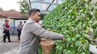 Pakcoy dan Lele Melimpah, Kapolres Tangsel: Hasilnya untuk Program Pangan dan Warga